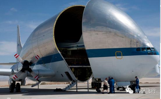 变异变形飞机,变异飞机鹦鹉