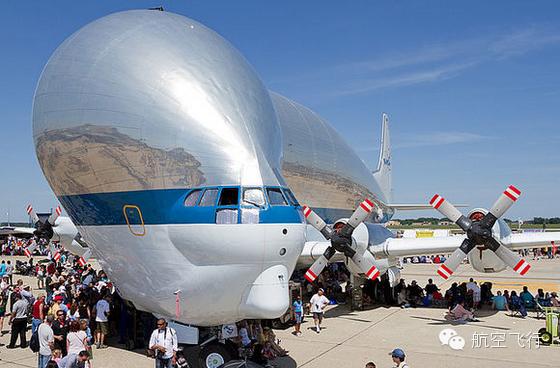 变异变形飞机,变异飞机鹦鹉
