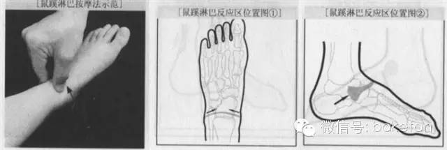 足部子宫反射区出问题怎么治疗,妇科脚底穴位反射区在哪图片