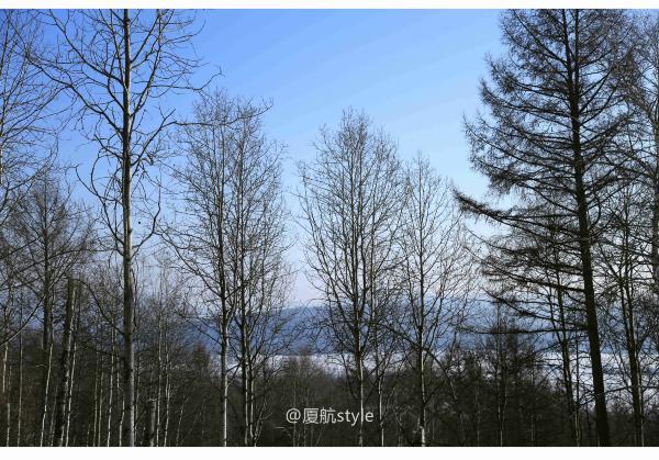 牧马少年歌曲完整版,牧马少年草原