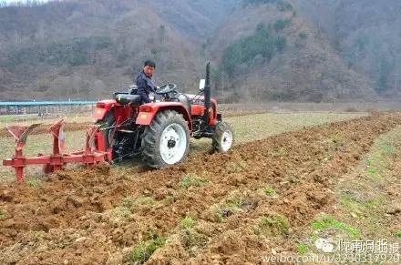 新闻资讯我县春耕春播热火朝天,春耕忙新闻