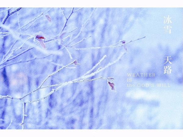 牧马少年歌曲完整版,牧马少年草原