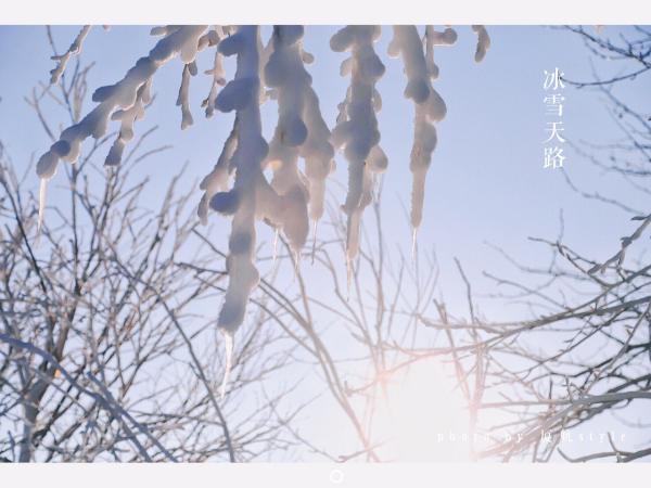 牧马少年歌曲完整版,牧马少年草原