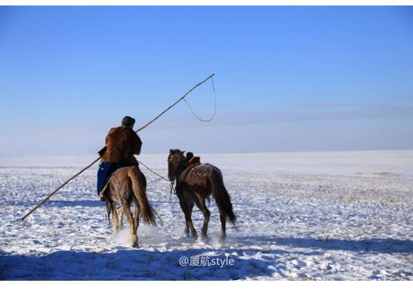 牧马少年歌曲完整版,牧马少年草原