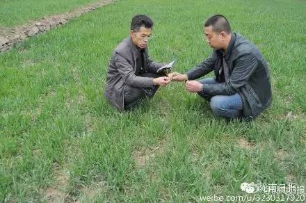 新闻资讯我县春耕春播热火朝天,春耕忙新闻