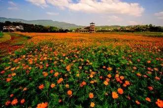 2022免重庆门票景区详细名单公布,重庆免费18个景区