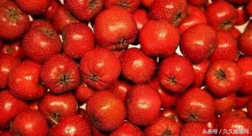 处暑养生吃鸭和鹅的功效一样吗,处暑节气的传统习俗及养生攻略