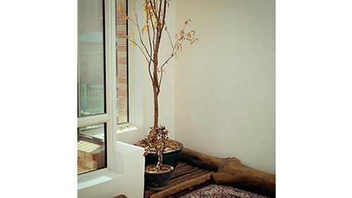 若尔盖草原房车营地,草原深处的房车营地