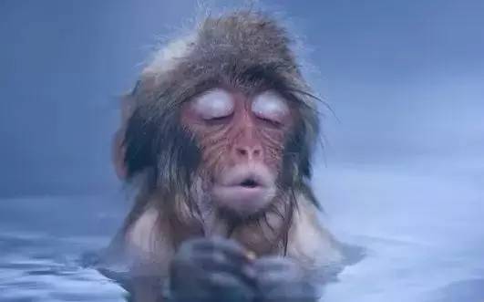 镇江温泉有哪些,镇江有哪些温泉