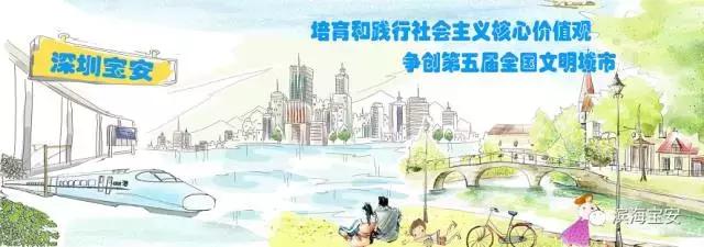 宝安女足夺冠,宝安女子马拉松冠军