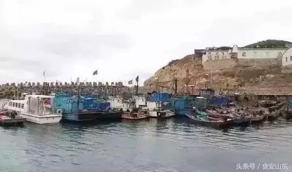 9月1号开海海鲜能便宜吗,9.1开海海鲜掉价吗