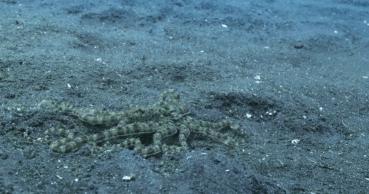 豆瓣9.7的冷门好片，送给每个热爱生命的人