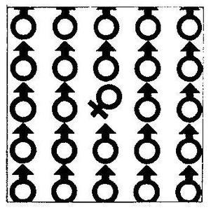 平面构成基础与应用,平面基础构成优秀作品