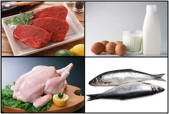 蛋粉如何选择,如何挑选蛋粉