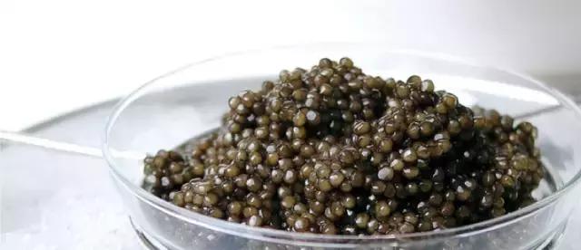 鲟鱼有没有鱼子酱,鲟鱼卵鱼子酱