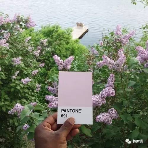 pantone潘通灰色号,pantone潘通色怎么查色值