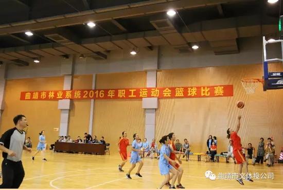 曲靖文化体育公园篮球赛,曲靖文化体育公园比赛