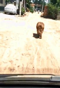 我想，把同桌地上的那个小东西拿过来我用