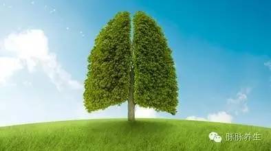 合肥房屋租赁新政策,合肥租赁房政策