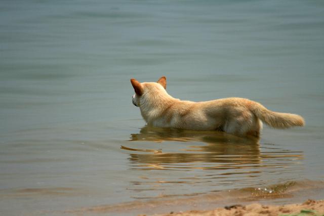 东莞海岛二日游攻略,东莞海边一日游最佳路线