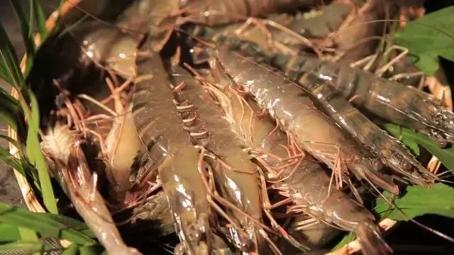 潮汕炸虾丸,自制潮汕炸虾丸做法