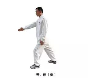 裁判手势详解,裁判场上手势