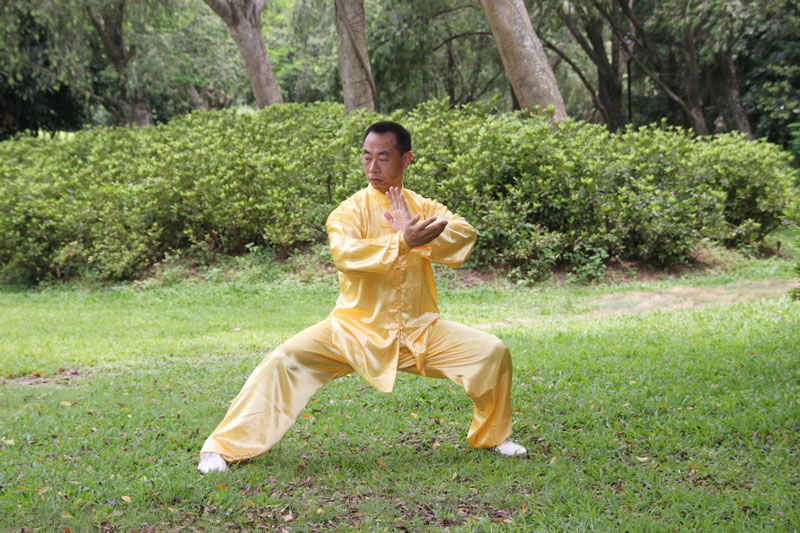 如何提升拳法,如何提高太极拳的松沉劲