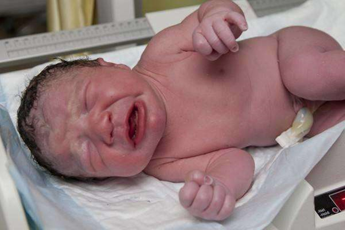 宝宝在妈妈肚子里的成长过程文字,宝宝在妈妈肚子里成长过程视频