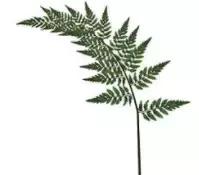 维密米兰达可儿美妆,维密超模米兰达可儿化妆直播