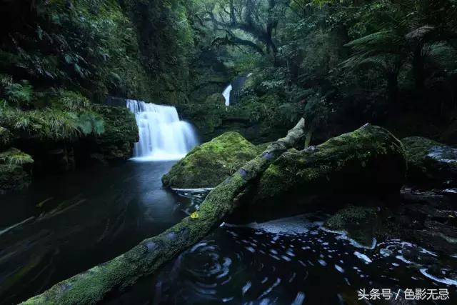 尼康d850传感器多少英寸,尼康d850专业人士点评