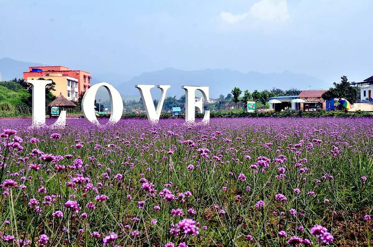 2022免重庆门票景区详细名单公布,重庆免费18个景区