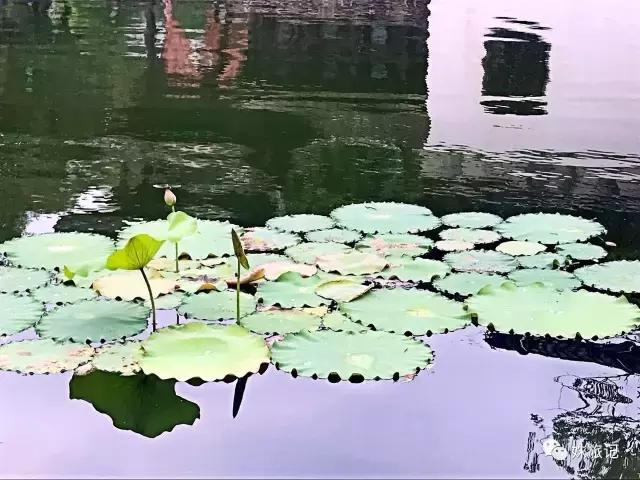 婺源是必须和喜欢的人去的地方吗,婺源相亲成功案例