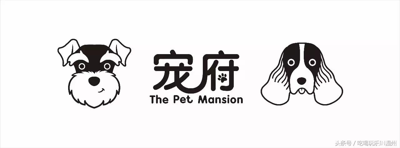 爱狗如命的女孩是什么心理,爱狗如命的女主角