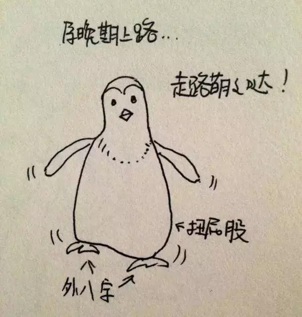 孕晚期最尴尬的几件事,孕晚期孕妈症状