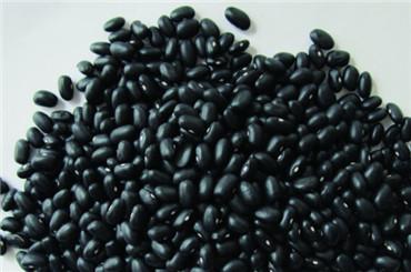 吃什么食物能预防卵巢早衰,吃什么食物可以预防卵巢早衰