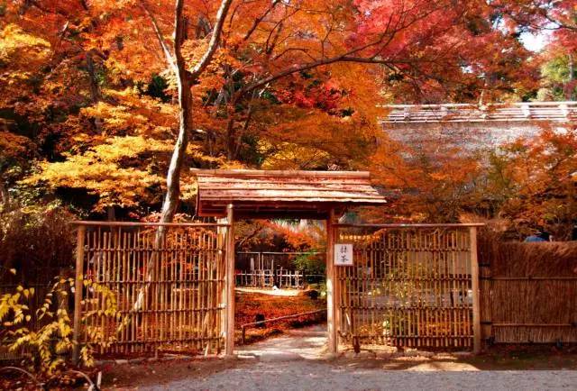 八月份定下的目标,秋季关西旅游攻略