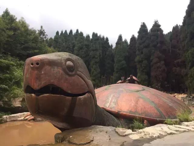 南宝山免费露营耍水,南宝山林海营地有什么耍的
