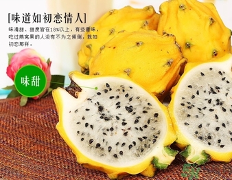 火龙果是天然色素还是花青素,富含花青素水果红心火龙果