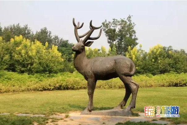 京城最大郊野公园，不仅免费，还藏了好多不为人知的秘密！