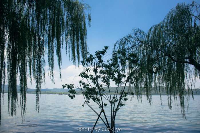 杭州西湖银泰春熙禄点评,西子湖畔品尝西湖美食