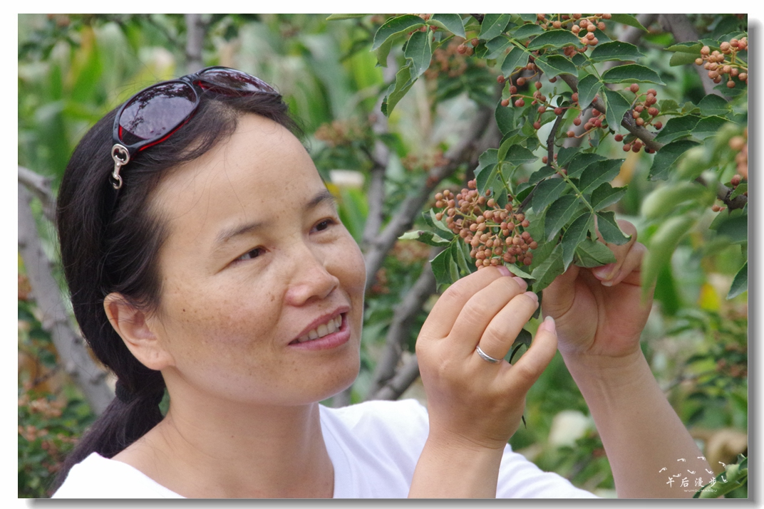 陕西韩城大红袍花椒之乡 (韩城花椒哪里产的最好)