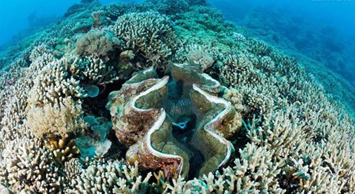 帕劳旅游最美风景攻略,帕劳旅游攻略自由行