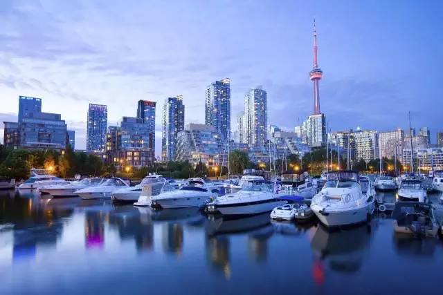 华人比例最多的国家排名 (华人最多的国家排名前20名)