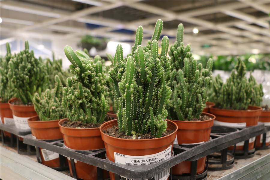 宜家新款收纳神器,宜家廉价好物推荐