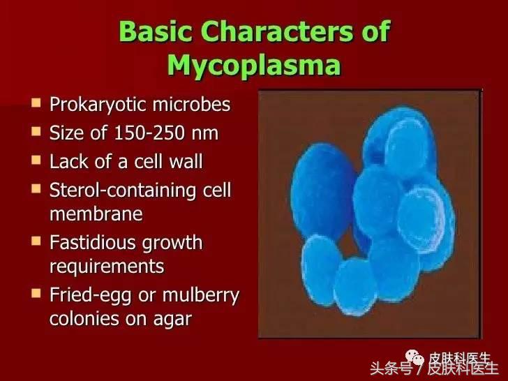 生殖道支原体感染诊治专家共识