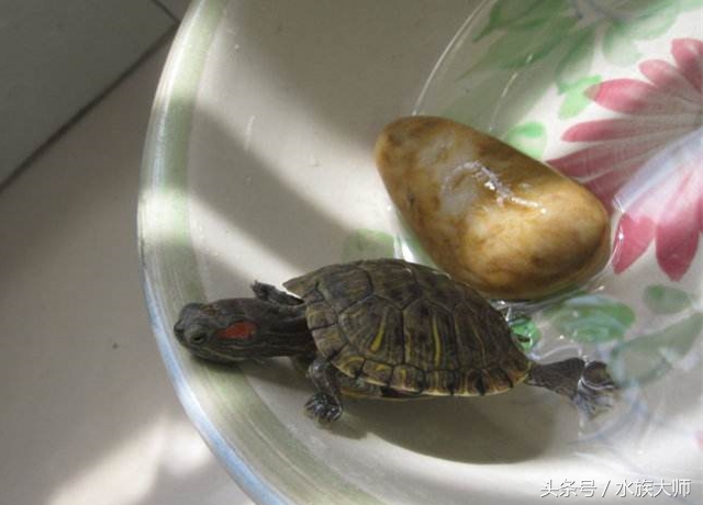 学会这四招没有养不好的牛,学会这四点让你少花冤枉钱