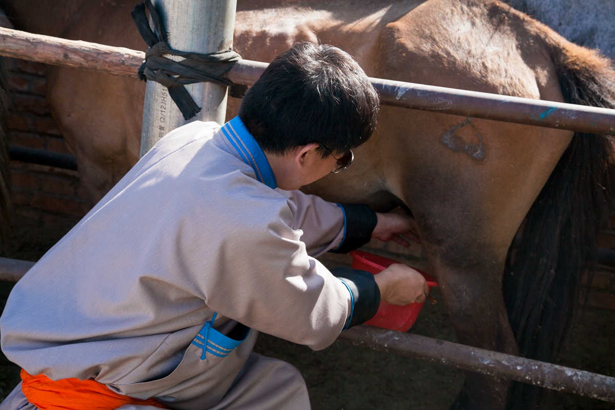 去内蒙，有多少人因为不懂这些文化而闹出了笑话
