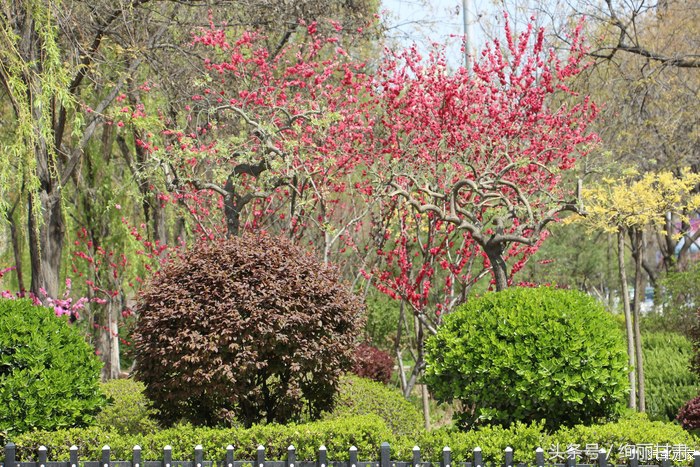 成县兰山公园,兰山公园的图片