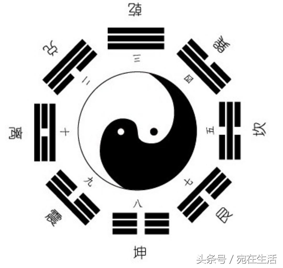 执象语音,执象乾坤书籍