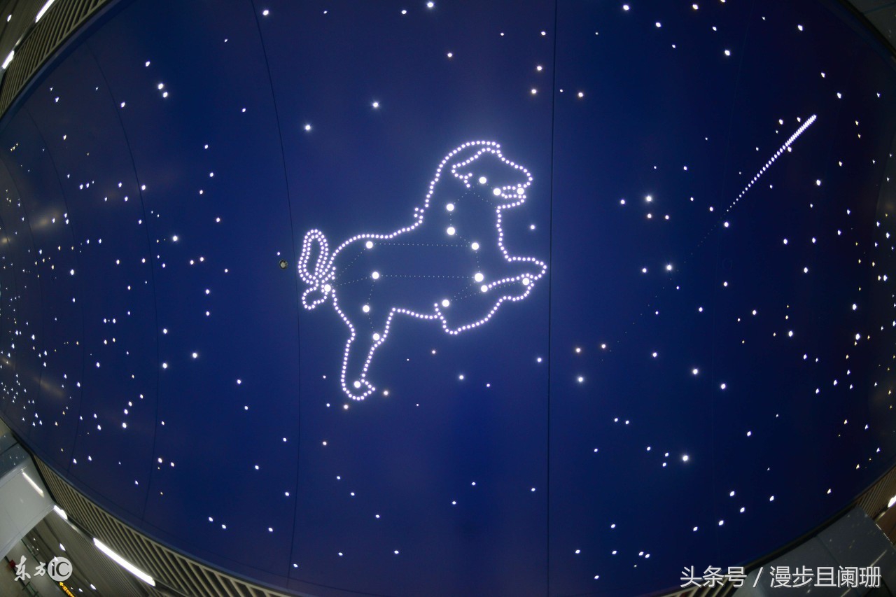 十二星座害怕什么,十二星座害怕什么动物